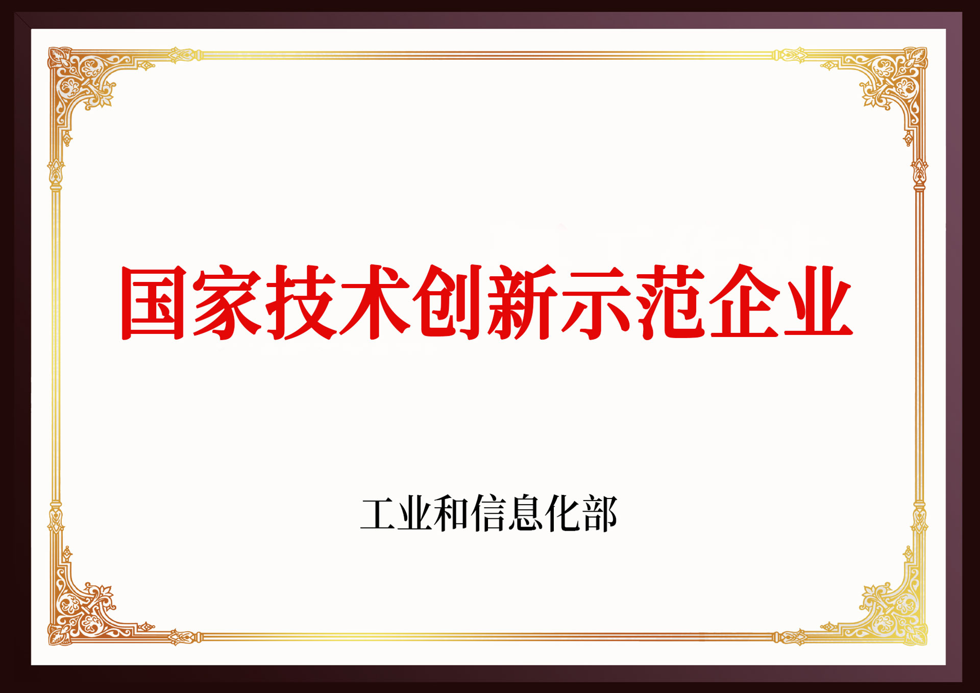 國家技術創(chuàng)新示范企業(yè)